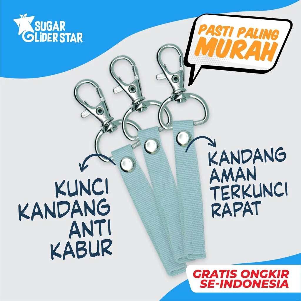 SUGAR GLIDER STAR Kunci Kandang Sugar Glider