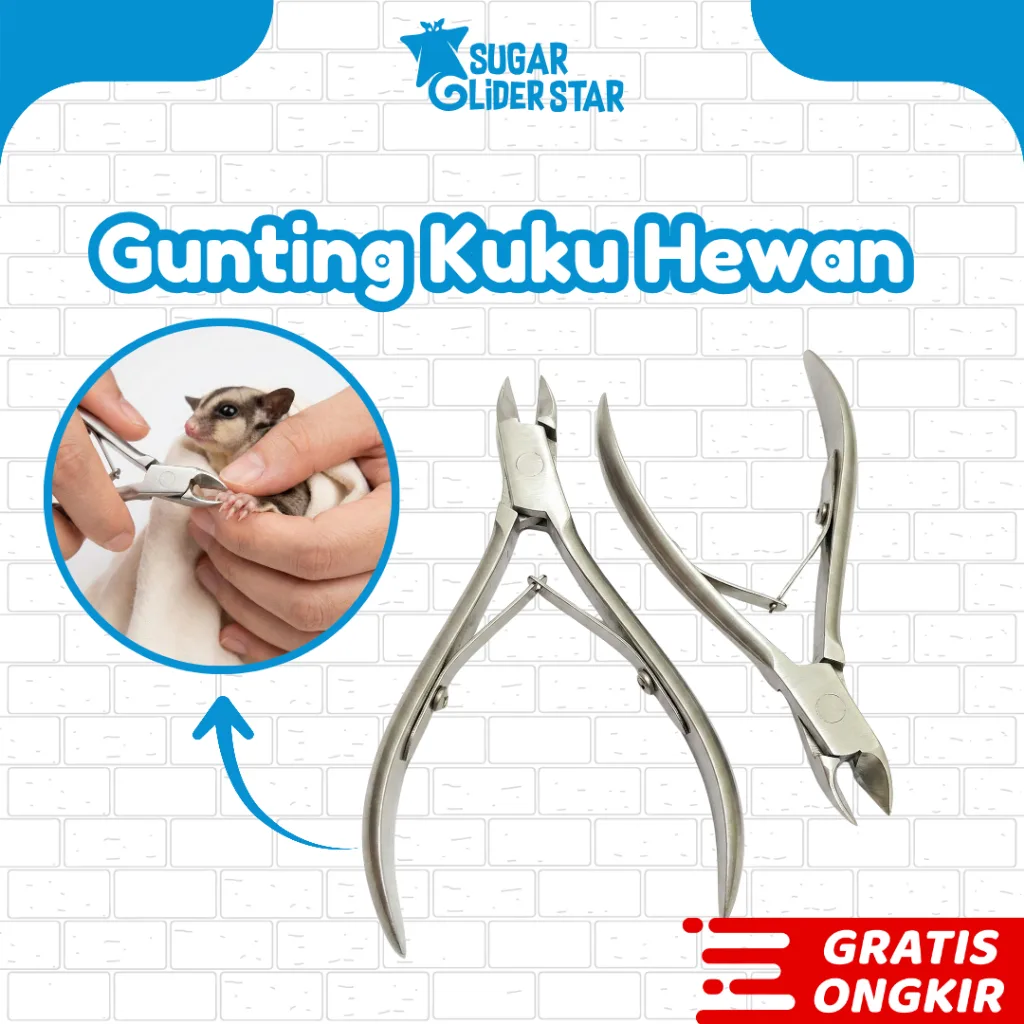 ADEWAP GLIDER Gunting Kuku Besi Nail Trimmer Clipers Sugar Glider