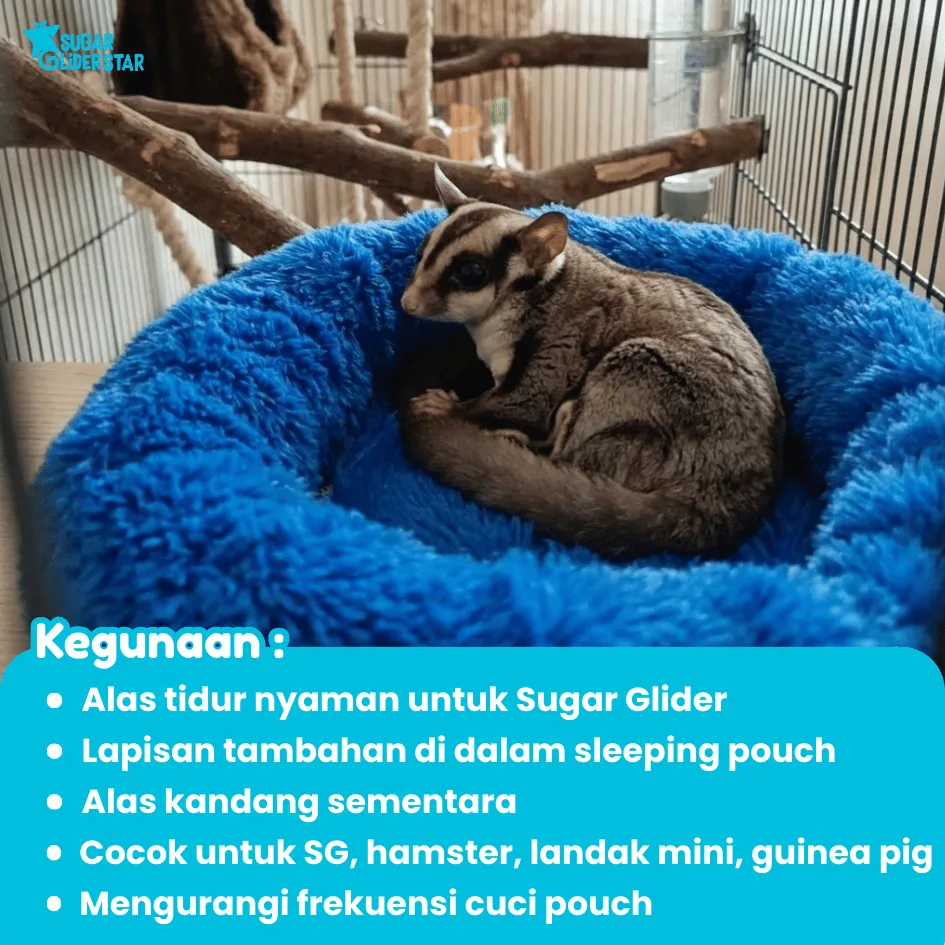 SUGAR GLIDER STAR Sleeping Pouch Kasmir Alas Tempat Tidur Sugar Glider