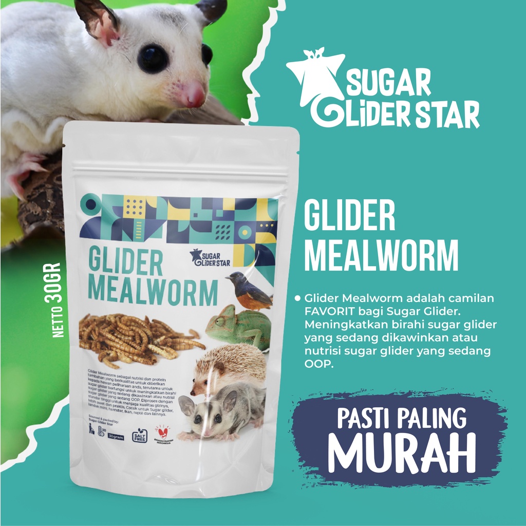SUGAR GLIDER STAR Ulat Hongkong Kering Makanan Cemilan Hewan Sugar Glider 40gr