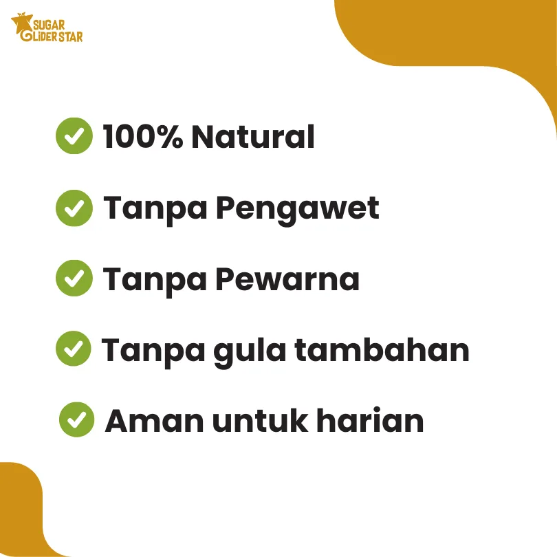 SUGAR GLIDER STAR Golden Raisin Buah Kismis Camilan Sugar Glider