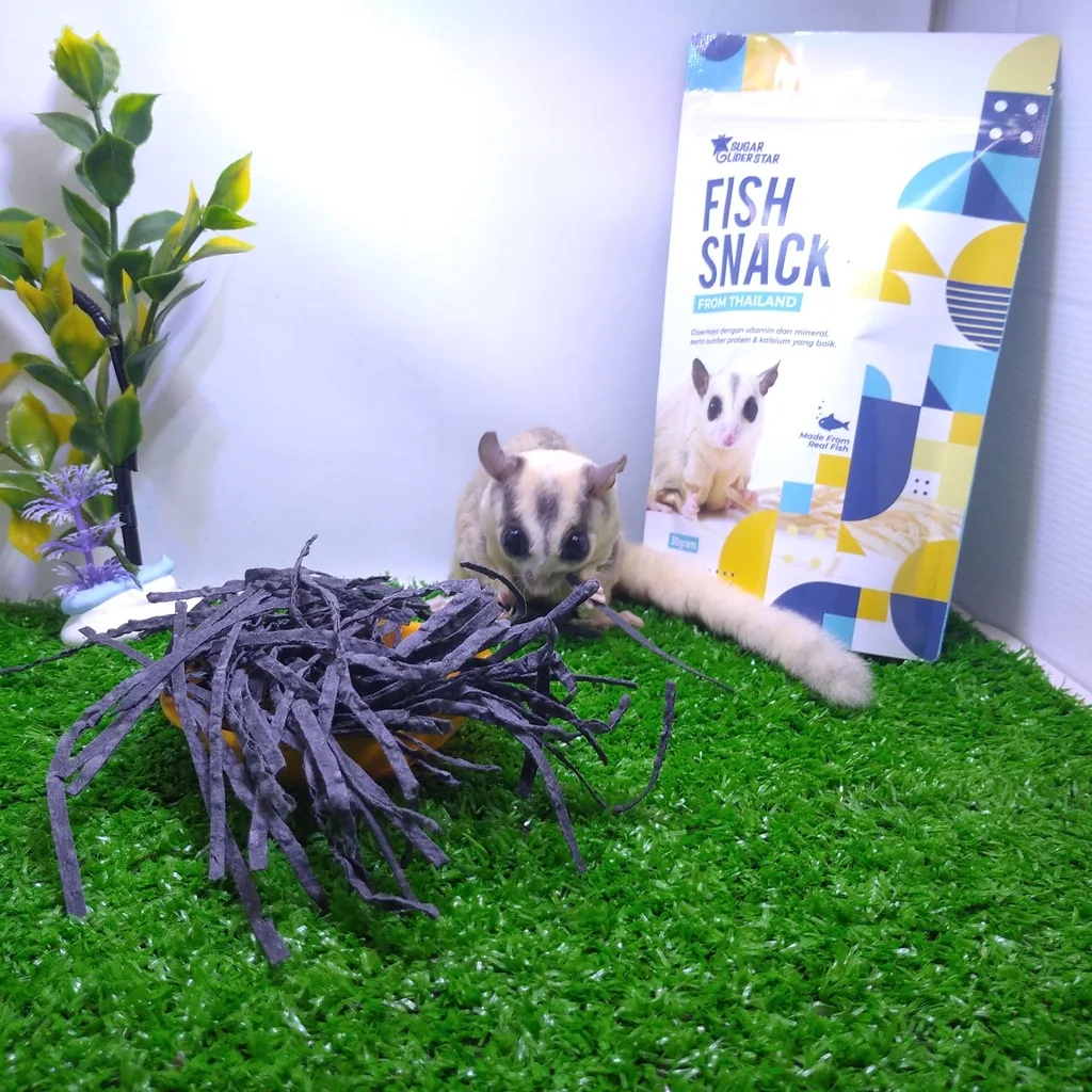 SUGAR GLIDER STAR Fish Snack Charcoal Thailand Obat Karang Gigi Sugar Glider