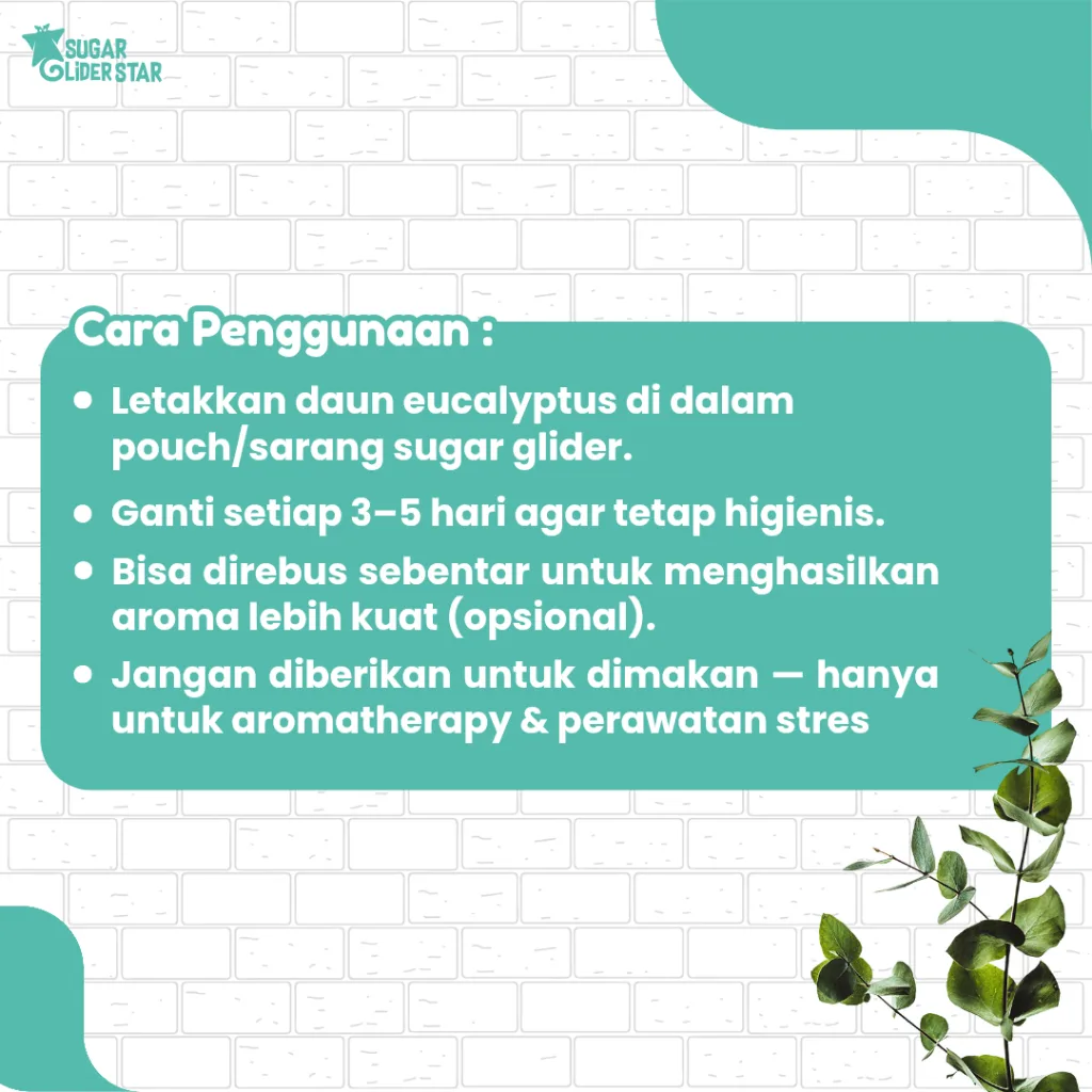 SUGAR GLIDER STAR Daun Eucalyptus Terapi Sugar Glider Stres 30gr