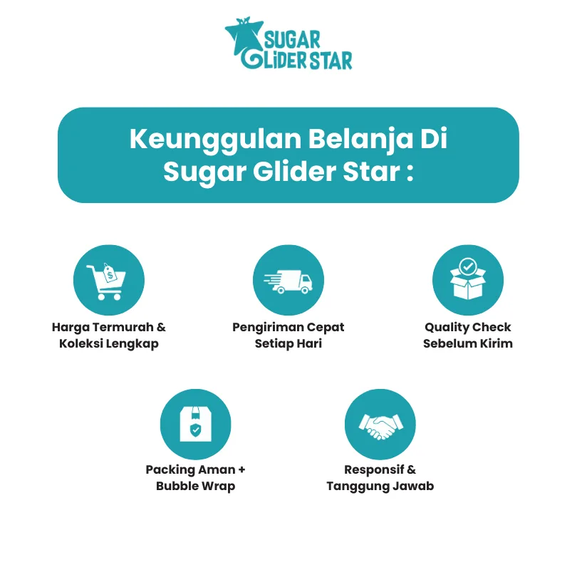 ADEWAP GLIDER Paket Hemat Obat Terluka Hewan Sugar Glider