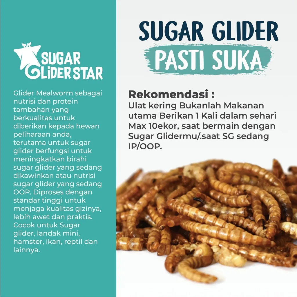 SUGAR GLIDER STAR Ulat Hongkong Kering Makanan Cemilan Hewan Sugar Glider 40gr