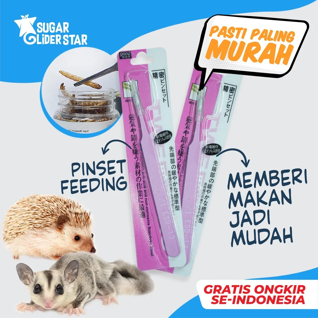 ADEWAP GLIDER Pinset Feeding Makanan Sugar Glider