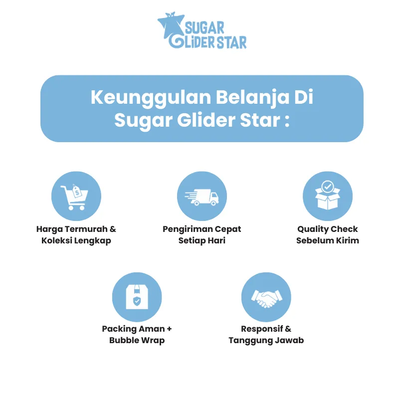 ADEWAP GLIDER Pipet Plastik 3 ml Alat Bantu Makan Sugar Glider