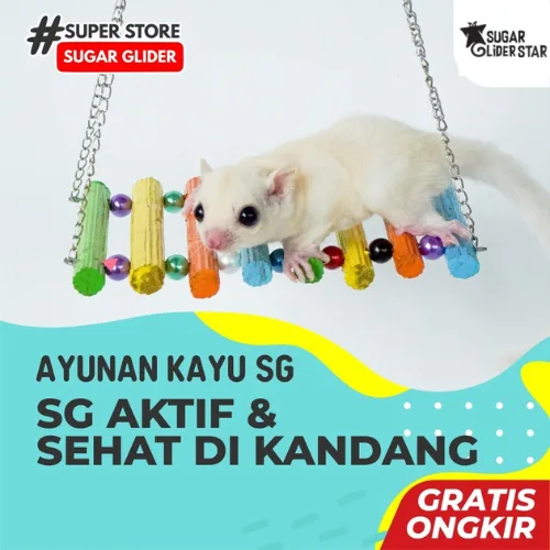 SUGAR GLIDER STAR Mainan Ayunan Kayu Sugar Glider