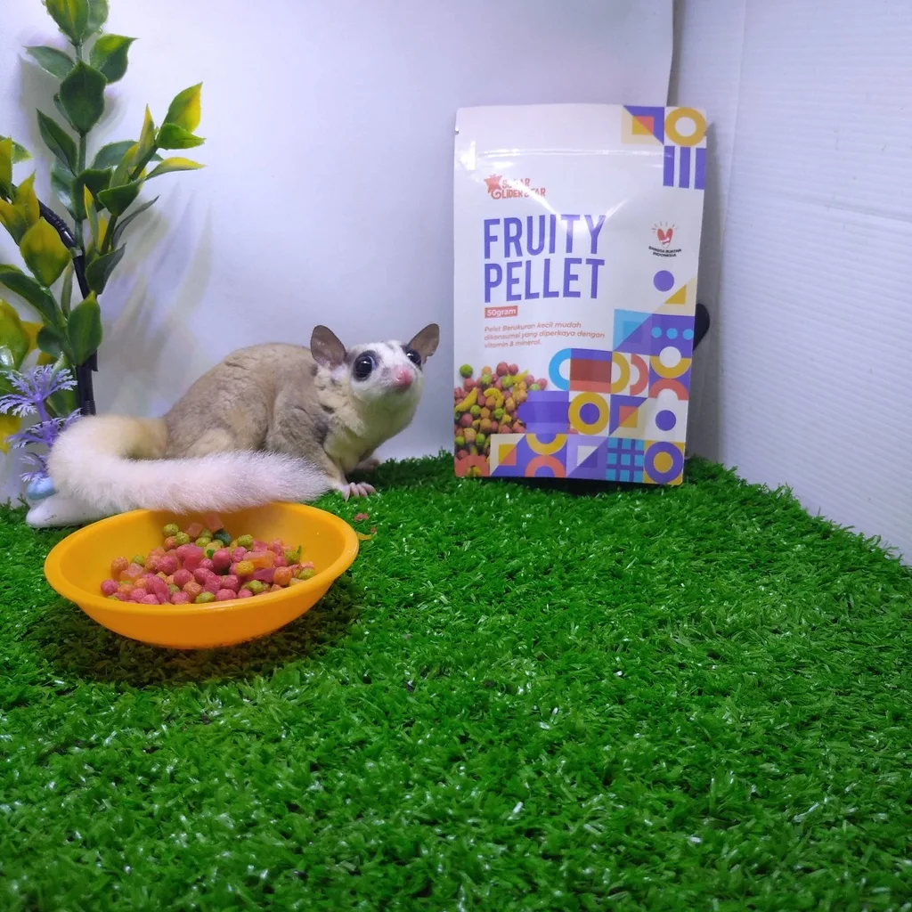 SUGAR GLIDER STAR Fruity Pellet Makanan Buah Kering Cemilan Sugar Glider 50gr