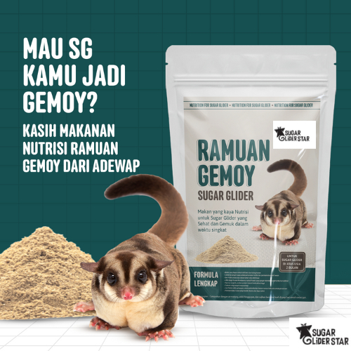SUGAR GLIDER STAR Ramuan Gemoy Protein & Nutrisi Lengkap Makanan Sugar Glider 120gr