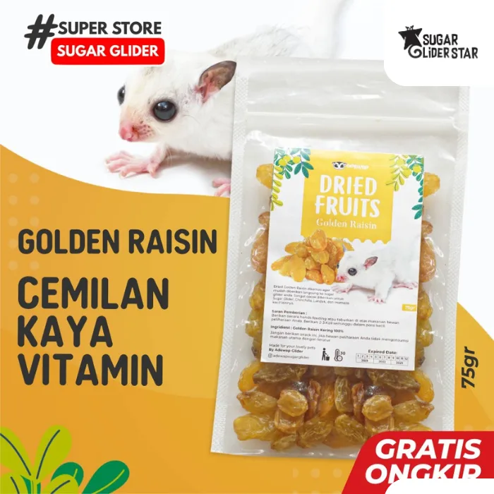 SUGAR GLIDER STAR Golden Raisin Buah Kismis Camilan Sugar Glider