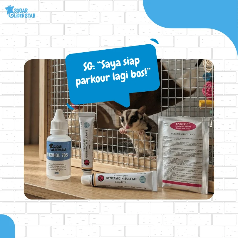 ADEWAP GLIDER Paket Hemat Obat Terluka Hewan Sugar Glider