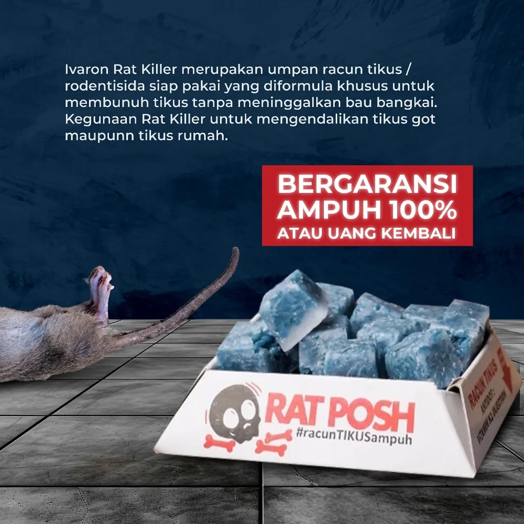 IVARON Racun Tikus Mati Kering 400gr Rat killer Pembasmi Tikus Free 4 Pcs Wadah & Sarung Tangan
