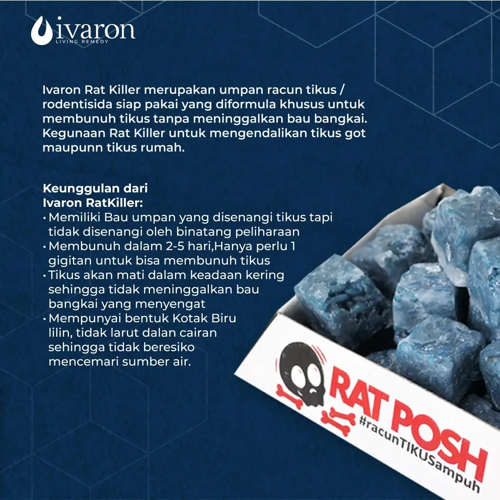 IVARON Paket Rat Killer Racun Tikus Mati Kering & Pembasmi Semut Serangga Kecoa