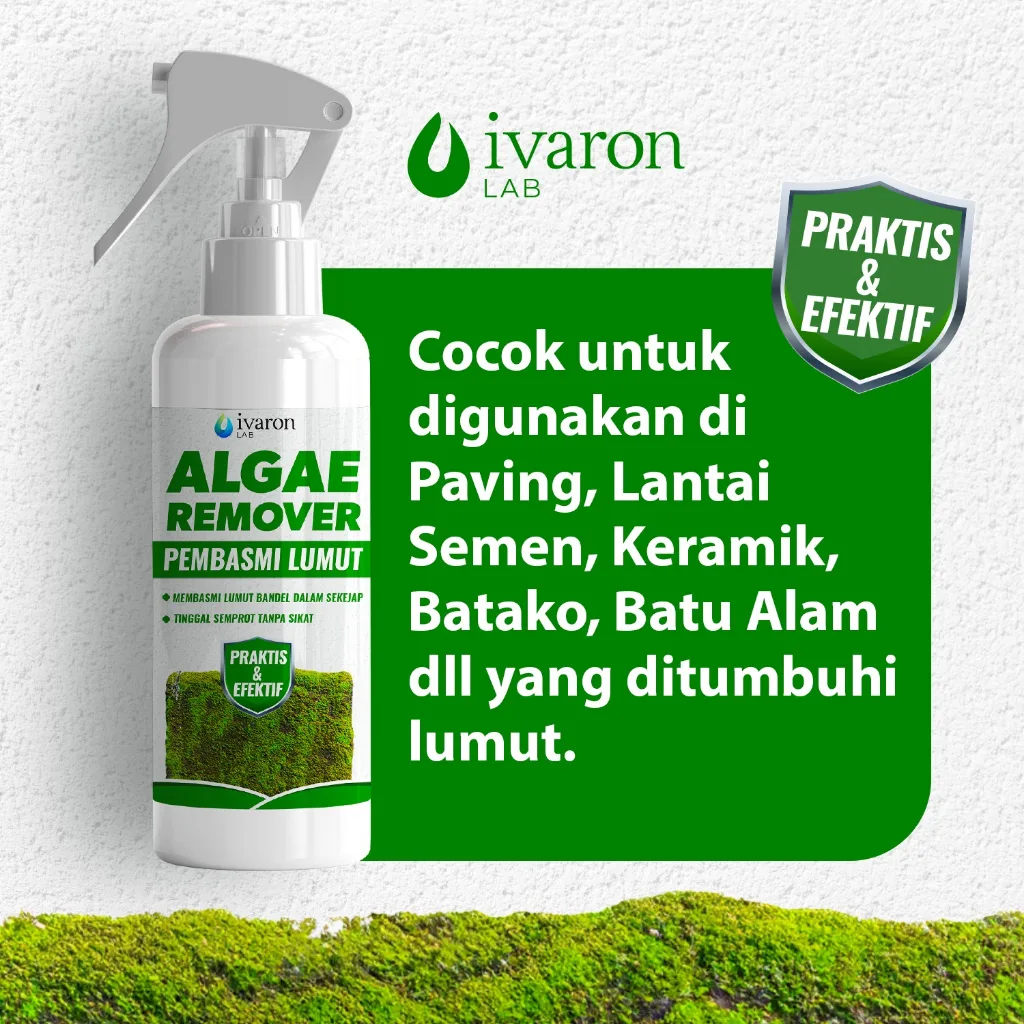 IVARON Paket Pembersih Lumut Lantai Semen Spray 250ml + Refill 250ml Anti Jamur dan Mold Algae Remov