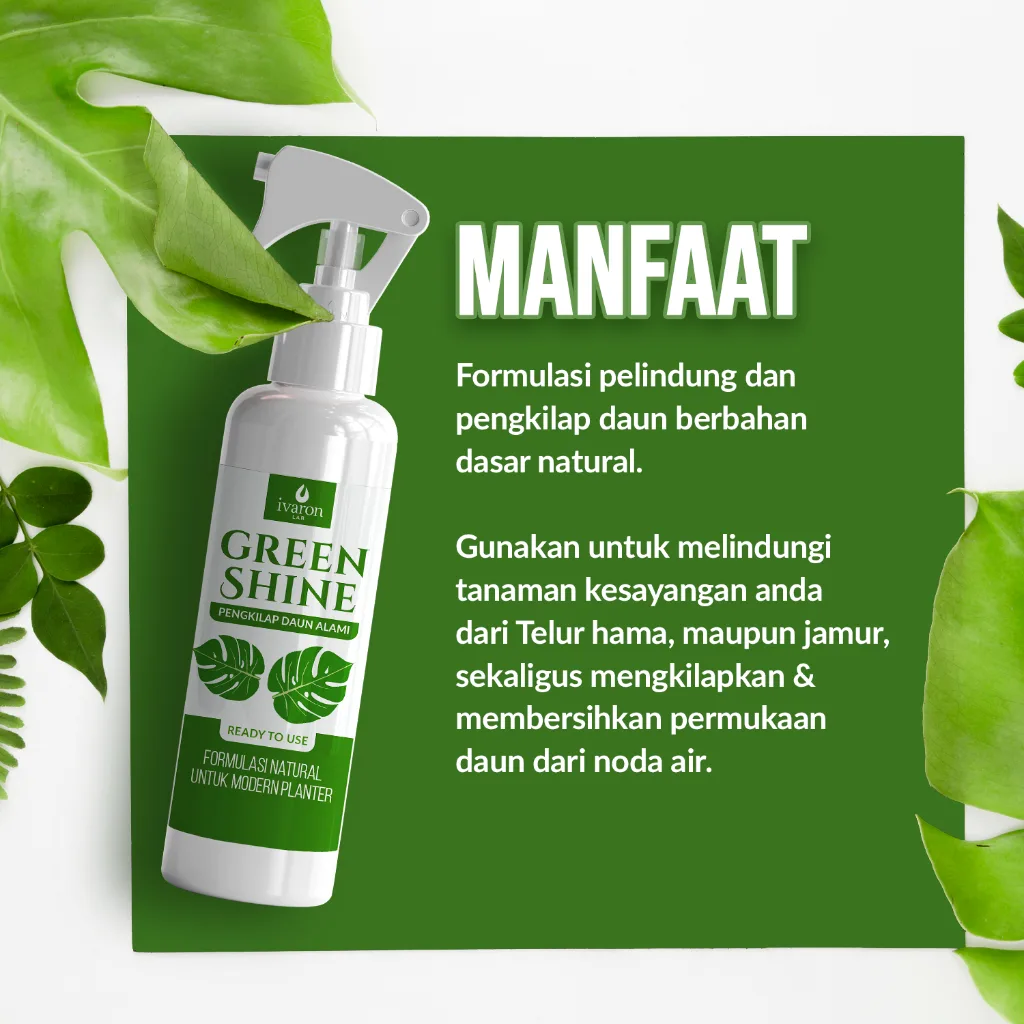 Ivaron Green Shine 250ml - Pengkilap Daun Tanaman Hias, Siap Pakai & Melindungi Daun