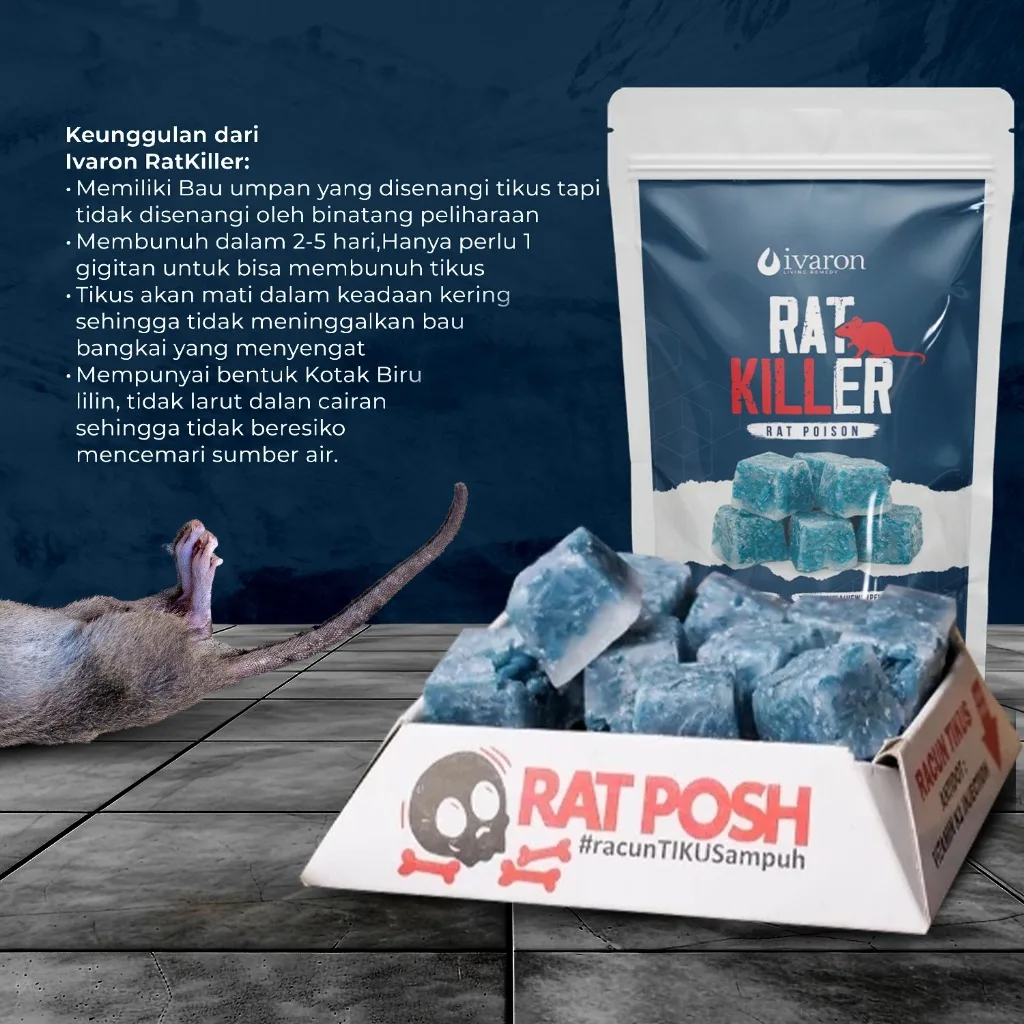 IVARON Racun Tikus Mati Kering 400gr Rat killer Pembasmi Tikus Free 4 Pcs Wadah & Sarung Tangan