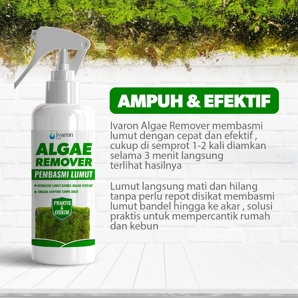 IVARON Pembersih Lumut Semen Obat Penghilang Paving Anti Mold Algae Pembasmi Kamar Mandi