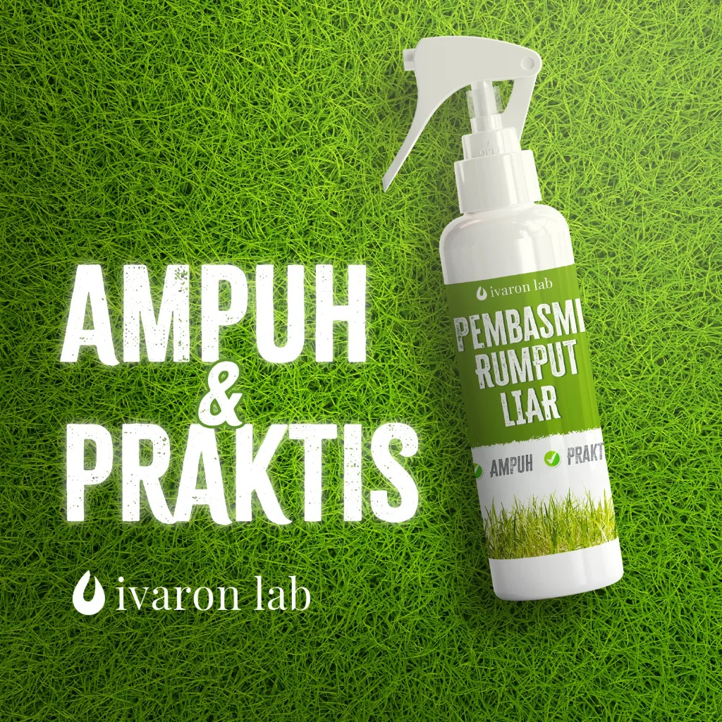 IVARON Racun Rumput Obat Pembasmi Rumput Liar Suket Pembunuh Gulma Mematikan