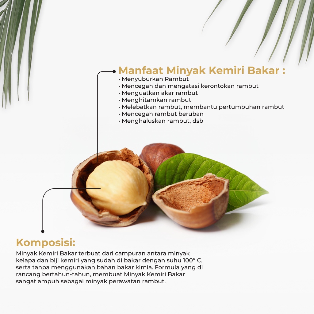 NUTIVER Minyak Kemiri Bakar Penumbuh Rambut  Murni 100ml Perawatan Rambut & Kulit Kepala Alami