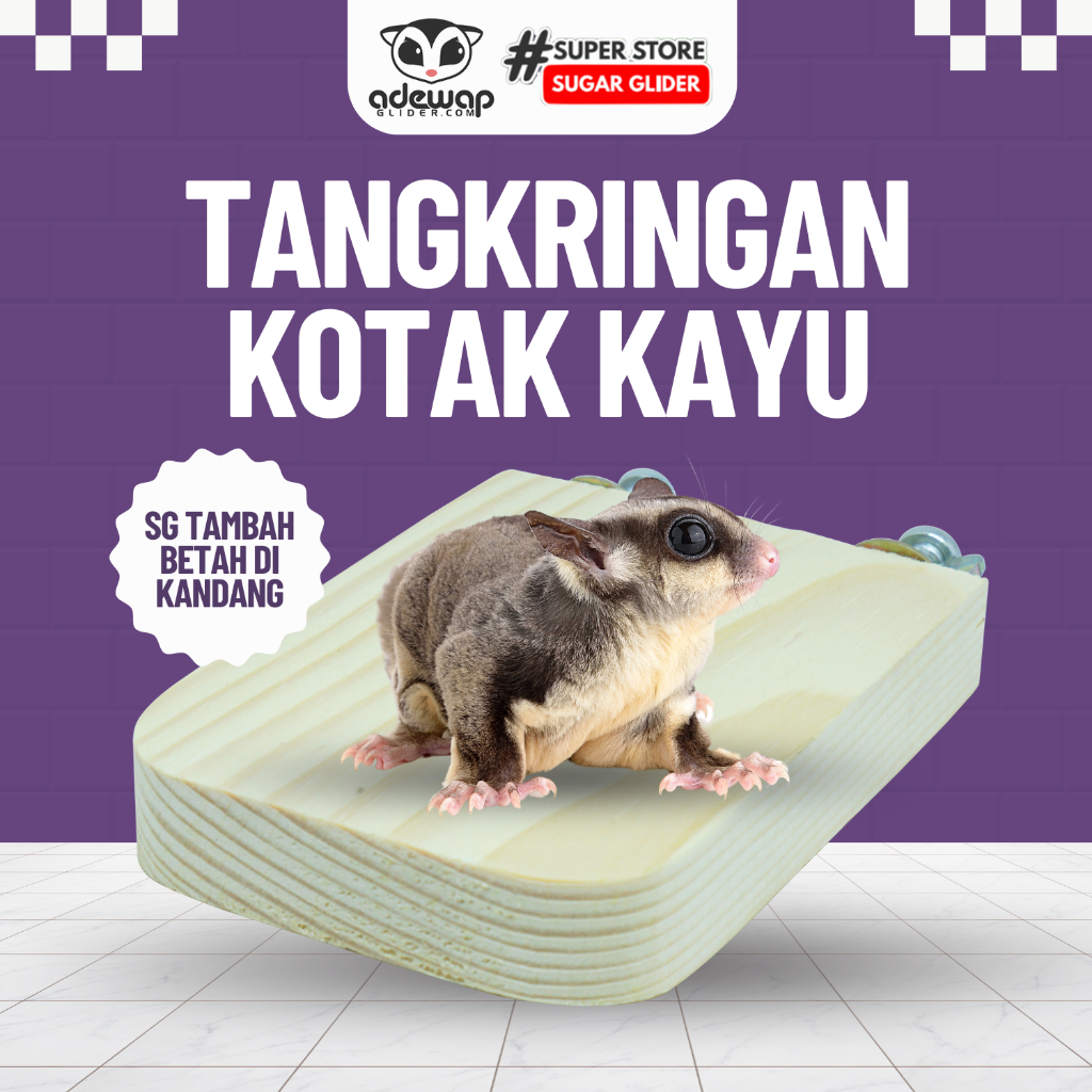 ADEWAP GLIDER Tangkringan Kandang Hewan Kotak Sugar Glider - 8