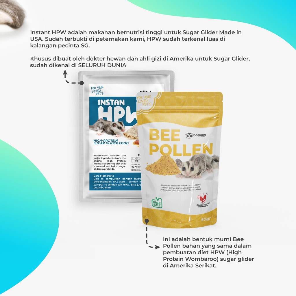 ADEWAP GLIDER Paket Hemat 2 Nutrisi Protein Wajib Sugar Glider - 4