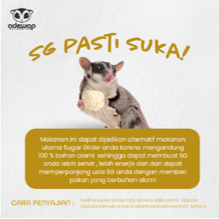 ADEWAP GLIDER Frozen Food Bunga Kol Meatball Glider Chicken For Sugar Glider - 3