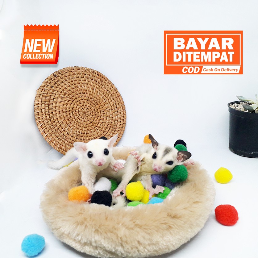 ADEWAP GLIDER Pom Pom Mainan Sugar Glider - 3