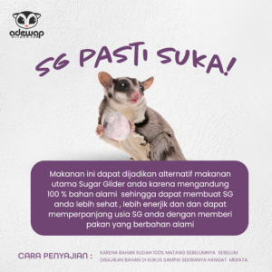 ADEWAP GLIDER Frozen Food Sweet Potato  Meatball Glider Chicken For Sugar Glider - 2