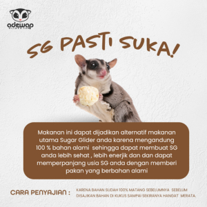 ADEWAP GLIDER Frozen Food Mix Veggie Meatball Glider Chicken For Sugar Glider - 2