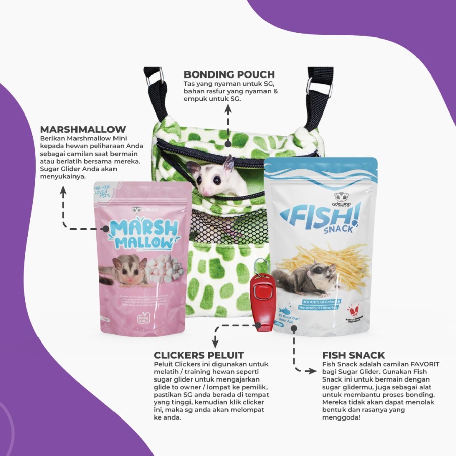ADEWAP GLIDER Paket Bounding Sugar Glider Lengkap - 2
