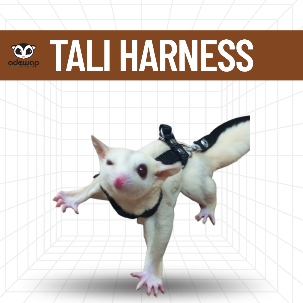 ADEWAP GLIDER Harness H Tali Penuntun Sugar Glider - 2