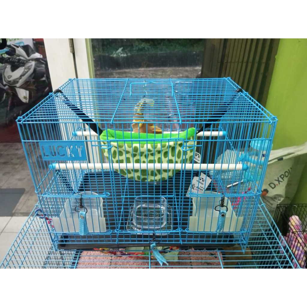 ADEWAP GLIDER Kandang Besi Lipat Hewan Small Plus Sugar Glider Burung Tupai Kelinci - 2