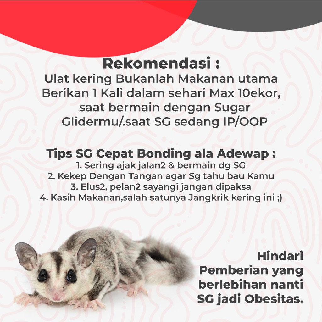 ADEWAP GLIDER Ulat Jerman Kering Dried Super Worm Cemilan Sugar Glider - 40gr - 4