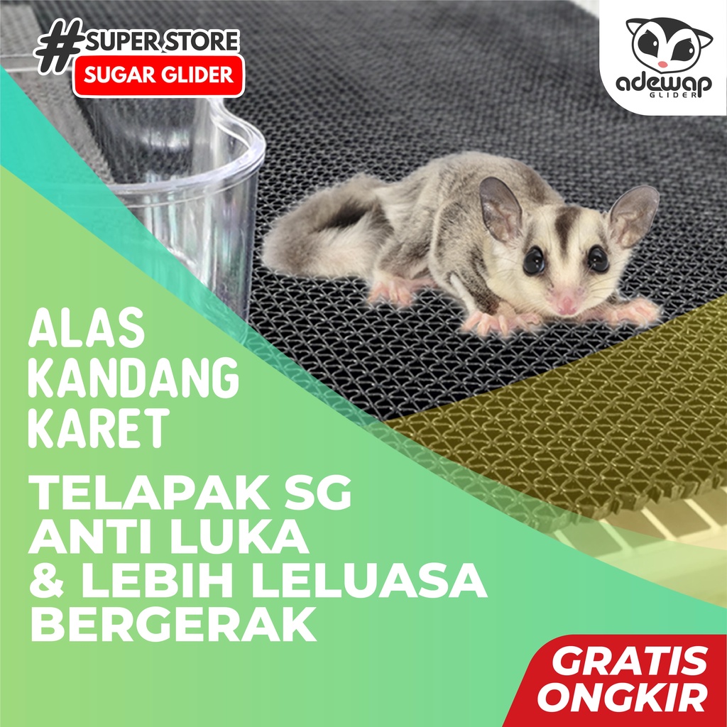 ADEWAP GLIDER Alas Kandang Tatakan Kotoran Sugar Glider