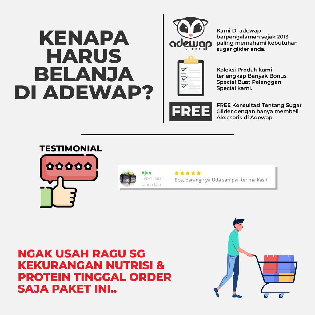 ADEWAP GLIDER Paket Bermain Aksesoris Sugar Glider - 4