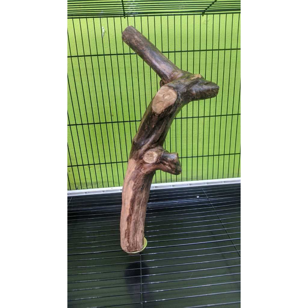 ADEWAP GLIDER Tangkringan Kandang Hewan Kotak Sugar Glider - 4