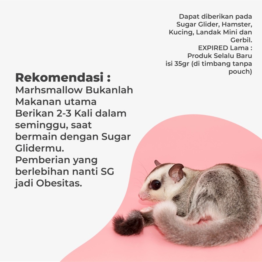 GROSIR Mini Marshmallow Marshmellow sugar Glider 35gr Reseller - 4
