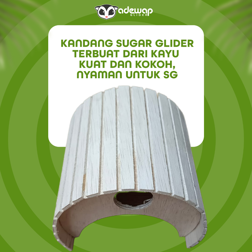 ADEWAP GLIDER Mini House Rumah Sugar Glider  Bentuk Kubah Tempat Bersembunyi Bermain Sugar Glider Hamster - 3