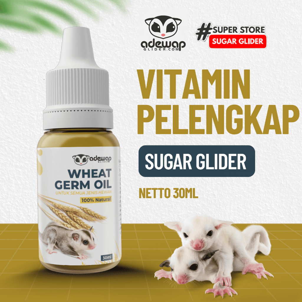 ADEWAP GLIDER Minyak Gandum Wheat Germ Oil Vitamin Sugar Glider - 5