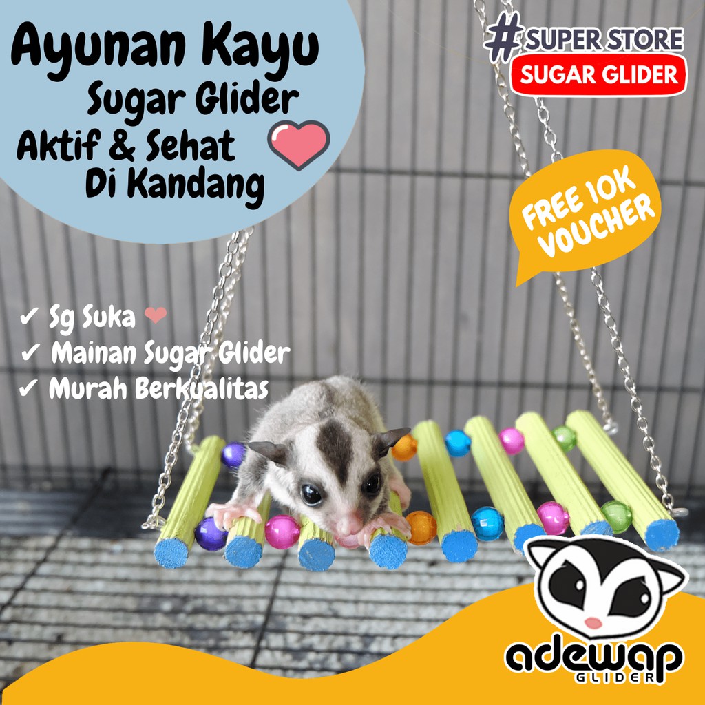 ADEWAP GLIDER Mainan Jembatan Ayunan Kayu Asli Warna-Warni Aksesoris Kandang Sugar Glider - 2