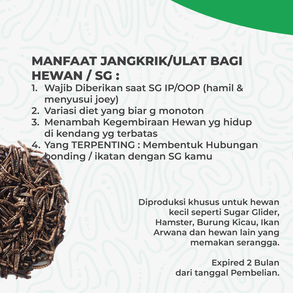 ADEWAP GLIDER Ulat Hongkong Kering 40gr Dried mealworm Sugar Glider - 3