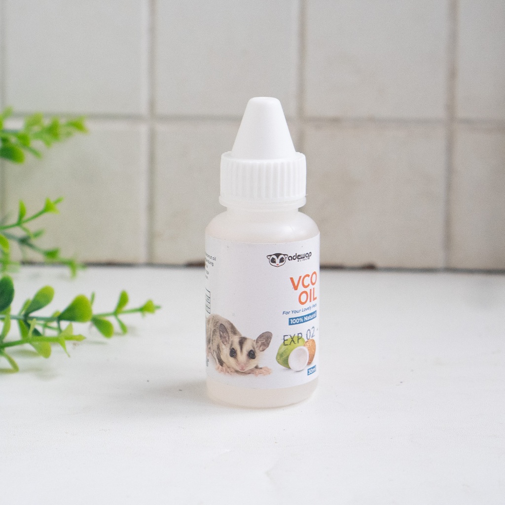 ADEWAP GLIDER VCO Virgin Coconut Oil Minyak Kelapa Murni Obat Perawatan Sugar Glider - 30ML - 2