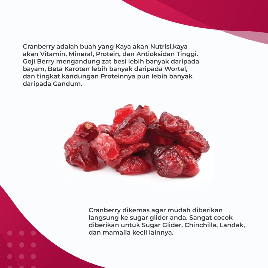 ADEWAP GLIDER Dried Cranberry Fruit Camilan Buah Kering Sugar Glider - 2