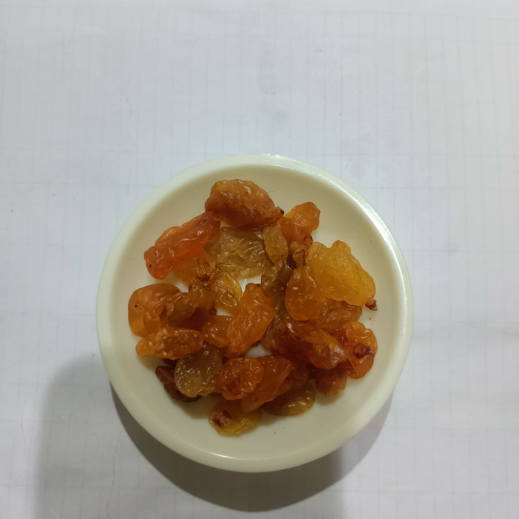 ADEWAP GLIDER Golden Raisin Dried Fruit Buah Kismis Camilan Sugar Glider - 6