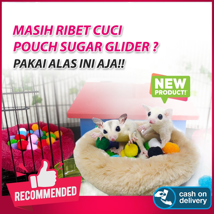 ADEWAP GLIDER Kasmir Kasur Sugar Glider Sleeping Pad Bulat Tempat Tidur Sugar Glider - 3