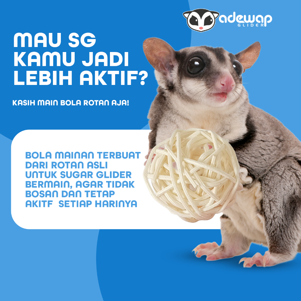 ADEWAP GLIDER Mainan Bola Rotan Aktivitas Harian Anti Bosan Sugar Glider - 3