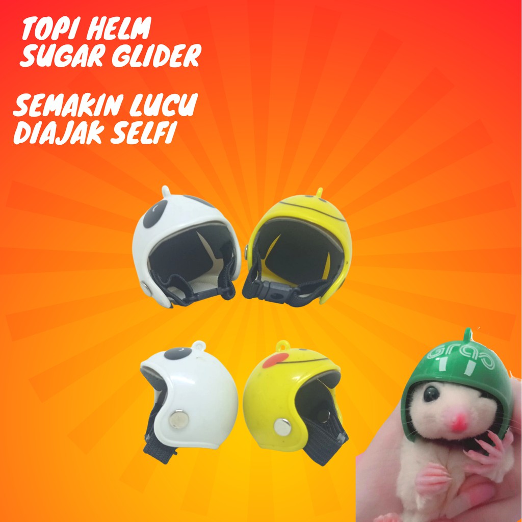 ADEWAP GLIDER Helm Aksesoris Selfi Hewan Peliharaan Topi Sugar Glider - 3