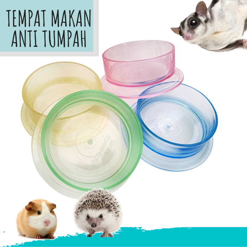 ADEWAP GLIDER Tempat Makan Bulat Warna Bening Sugar Glider - 4