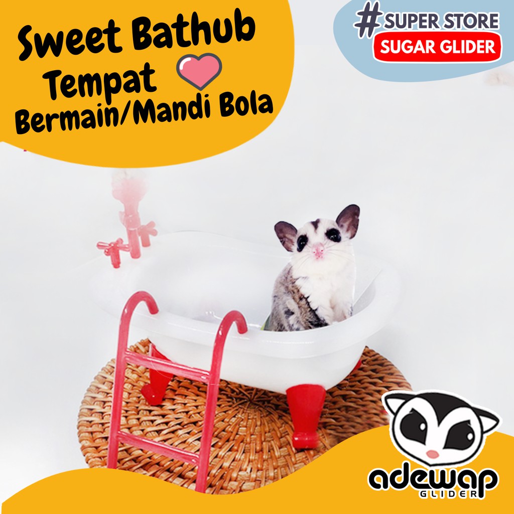 ADEWAP GLIDER Sweet Bathtub Tempat Mandi Hamster Sugar Glider - 3